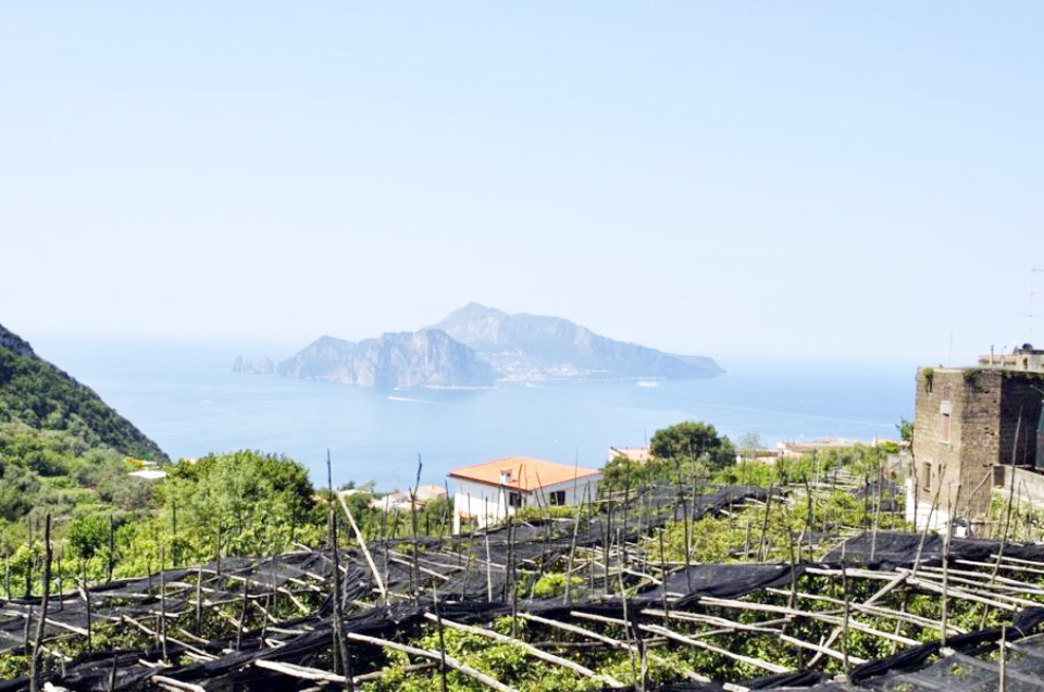 mokaparados temini sorrento italia massa lubrense